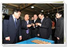 中国纺织工业联合会王天凯会长、高勇副会长、徐文英副会长视察同和公司，并与崔桂生董事长亲切交流